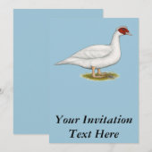 Duck White Muscovy Kaart (Voorkant / Achterkant)