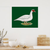 Duck White Muscovy Poster (Keuken)
