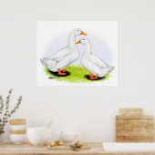 Duck:  White Pekins Poster (Keuken)