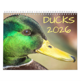 Duck Wildlife Fotografie Kalender