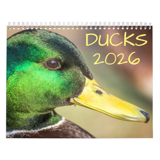 Duck Wildlife Fotografie Kalender (Hoes)