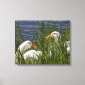 Duck Wrapped Canvas Afdruk (Voorkant)