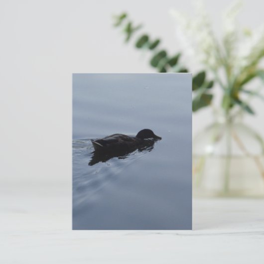 Duck zwemmen in Lake, Natuur Bird Wildlife Blue Briefkaart (Staand voorkant)