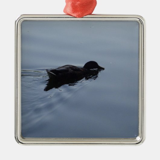 Duck zwemmen in Lake, Natuur Bird Wildlife Blue Metalen Ornament (Voorkant)