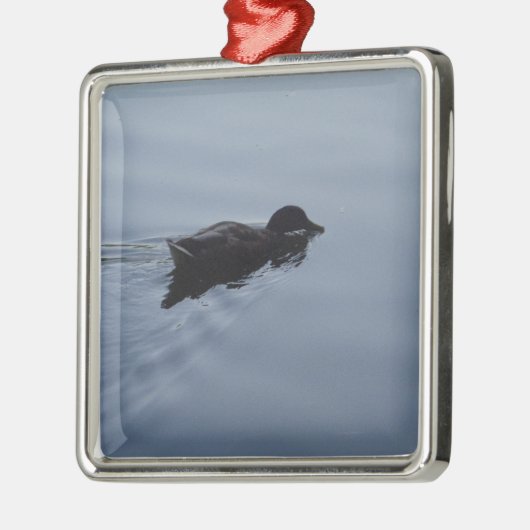 Duck zwemmen in Lake, Natuur Bird Wildlife Blue Metalen Ornament (Links)