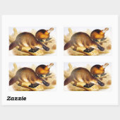 "Duckbilling Platypus" Rechthoekige Sticker (Vel)