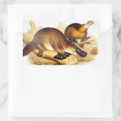 "Duckbilling Platypus" Rechthoekige Sticker (Tas)
