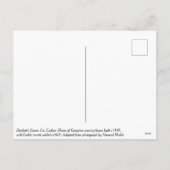 Duckett's Grove Mansion ruins, Co. Carlow, Ierland Feestdagenkaart (Achterkant)