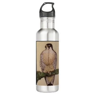 Duckhawk Water Bottle Waterfles