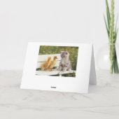 Duckheap en vriend interviewen kitten. kaart (Achterkant)