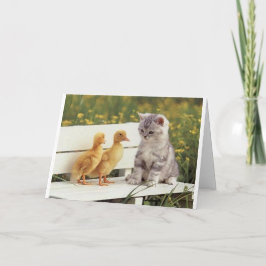 Duckheap en vriend interviewen kitten. kaart (Voorkant)