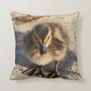 Ducking Baby Duck Bird Wildlife Animal Pillow Kussen