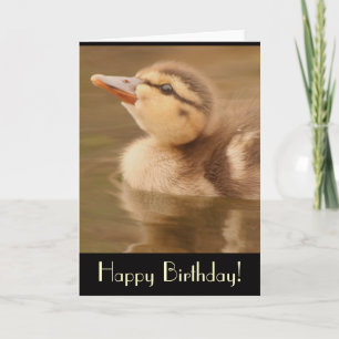 Ducking Birthday Card Kaart