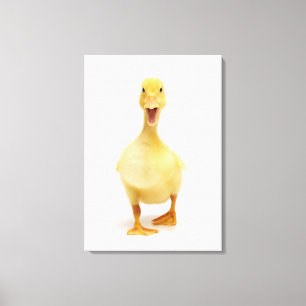 Ducking Canvas Afdruk