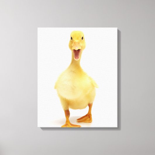 Ducking Canvas Afdruk (Voorkant)