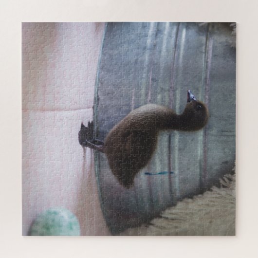 Ducking, donkerbruine Baby Duck Legpuzzel (Horizontaal)