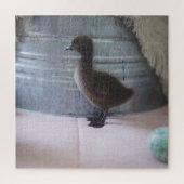 Ducking, donkerbruine Baby Duck Legpuzzel (Verticaal)