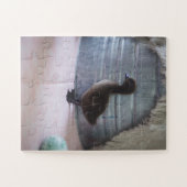 Ducking, donkerbruine Baby Duck Legpuzzel (Horizontaal)