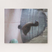 Ducking, donkerbruine Baby Duck Legpuzzel (Horizontaal)