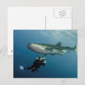 Ducking for Hoesje? Briefkaart (Voorkant / Achterkant)