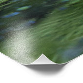 Ducking in een vijver foto afdruk (Hoek)