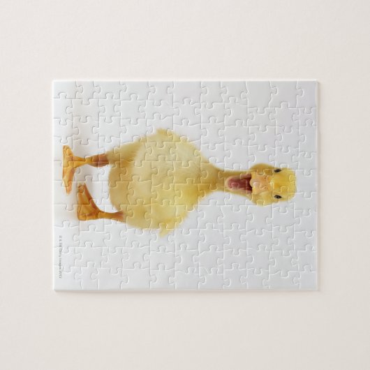 Ducking Legpuzzel (Horizontaal)