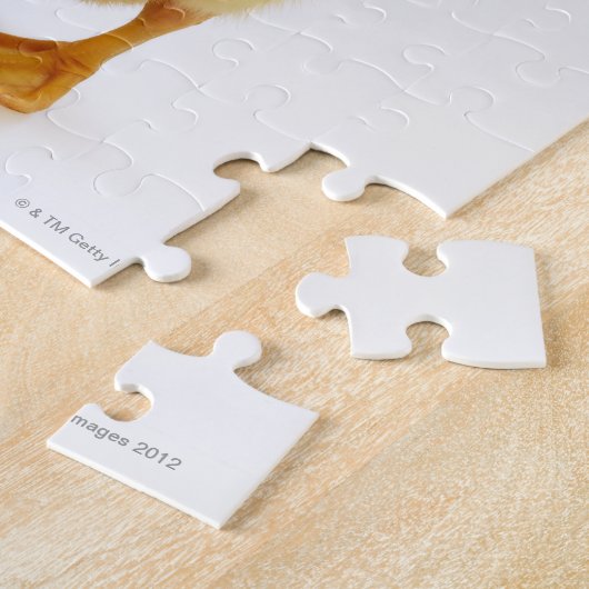 Ducking Legpuzzel (Zijkant)