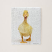 Ducking Legpuzzel (Verticaal)