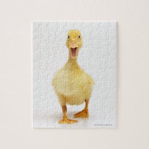 Ducking Legpuzzel