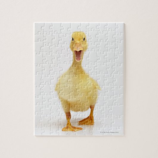 Ducking Legpuzzel (Verticaal)