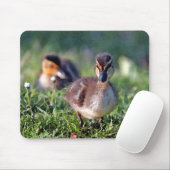 Ducking Muismat (Met muis)
