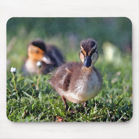 Ducking Muismat (Voorkant)