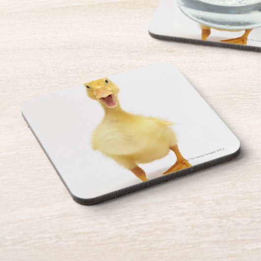 Ducking Onderzetter (Linkerzijde)