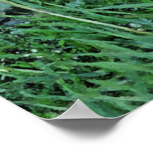 Ducking Parade Poster (Hoek)