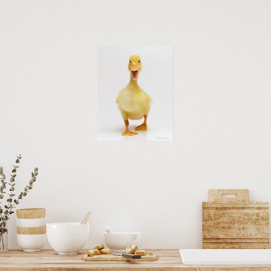 Ducking Poster (Keuken)