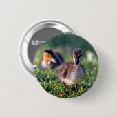 Ducking Ronde Button 5,7 Cm (Voorkant /achterkant)