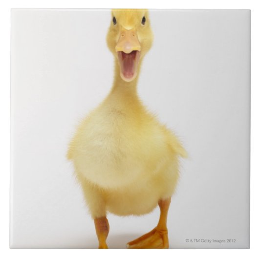 Ducking Tegeltje (Voorkant)