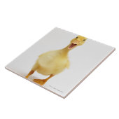 Ducking Tegeltje (Zijkant)