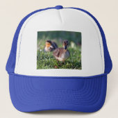 Ducking Trucker Pet (Voorkant)