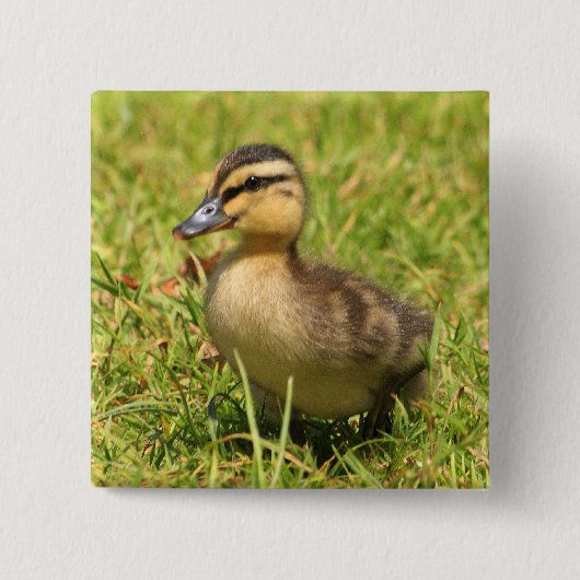 Ducking Vierkante Button 5,1 Cm (Voorkant)