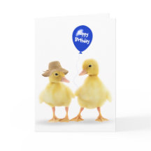 Duckings and Balloon Birthday