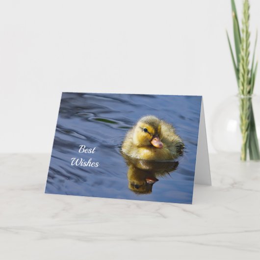 Duckling gefeliciteerd bruiloft Kaart (Voorkant)