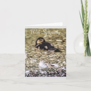 Duckling in River Natuur Sympathy Card Kaart