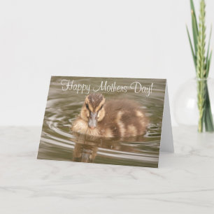 Duckling Moederdag Kaart