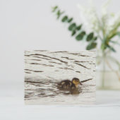 Duckling Photo-Briefkaart Briefkaart (Staand voorkant)
