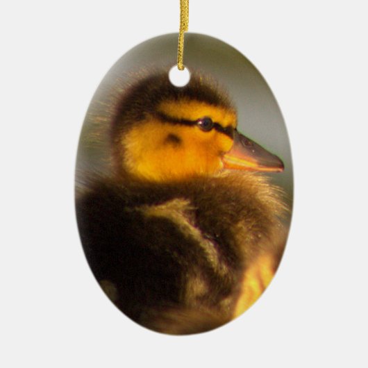 Duckling Photo-Ornament Keramisch Ornament (Voorkant)