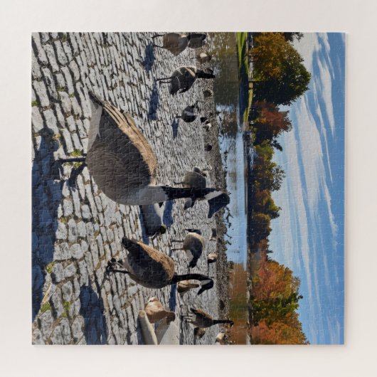 Duckling Serenity Legpuzzel (Horizontaal)