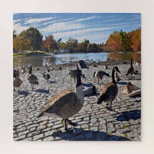 Duckling Serenity Legpuzzel (Verticaal)