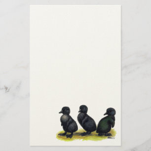 Ducklings Black Cayuga Briefpapier