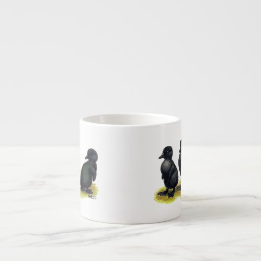 Ducklings Black Cayuga Espresso Kop (Voorkant)
